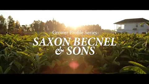 Grower Profile Series  Saxon Becnel & Sons