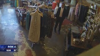 Search for Celina store creeper