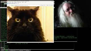 Dennis Clarke Lastmiles - Snowflakes