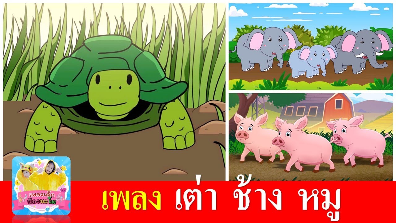 เพลงเด็ก เต่า ช้าง หมู | เต่าเอ๋ยเต่า | ช้างช้างช้าง | หมูหมูหมู