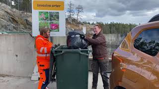 Invasiva Arter- Viktigt Att Rensa Bort