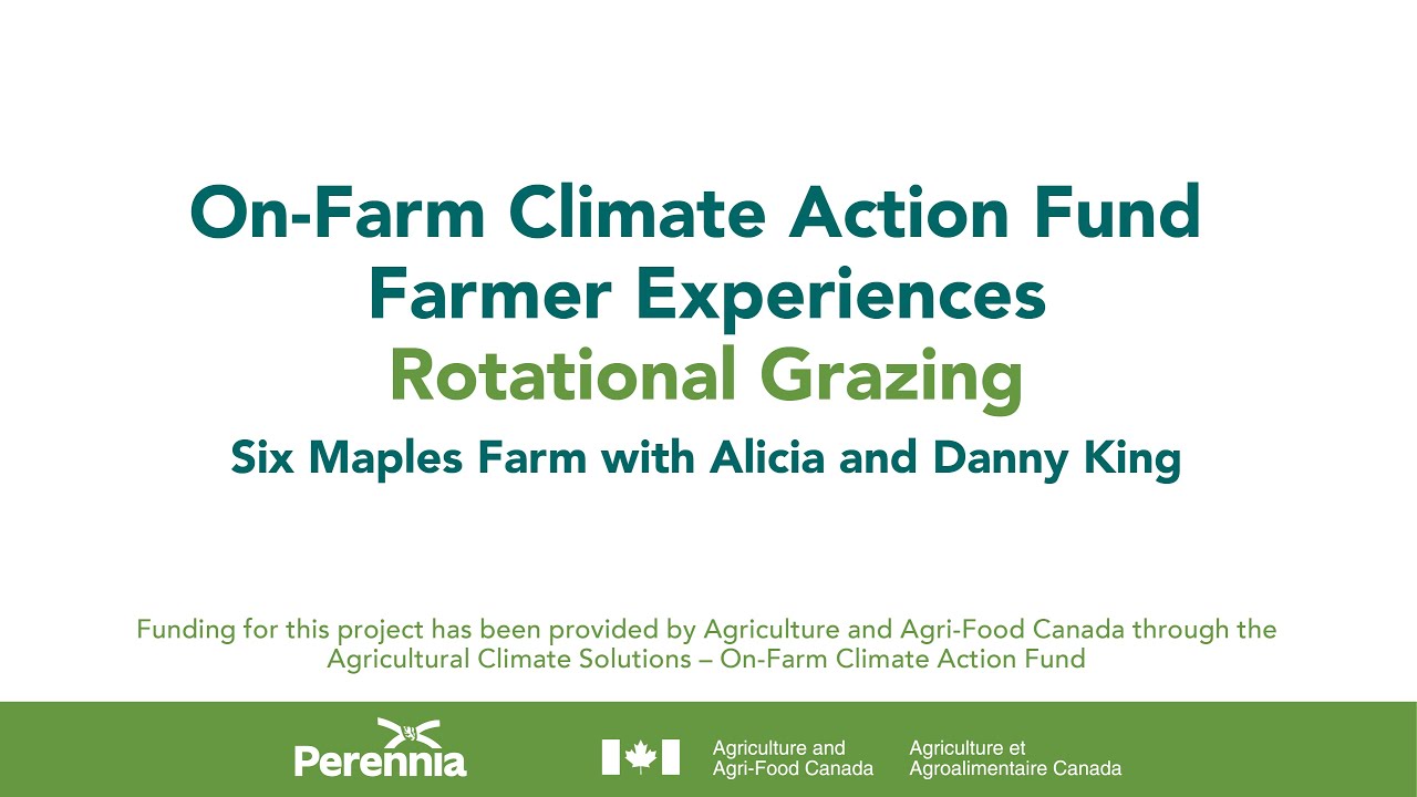 Mapols Farm Rotational Grazing with Alicia and Danny King - Six Maples Farm - YouTube