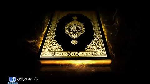 ما تيسر من سورة الحشر بصوت القارئ   سيد سعيد