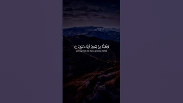 سورة الأنعام❤️ القارئ ياسر الدوسري🎧#قرآن #الحمدلله #استغفار #الله | اكتب شيئ تؤجر عليه✍️ @k_or_an