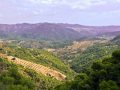 Massif des dahra  couleurs dalgrie      