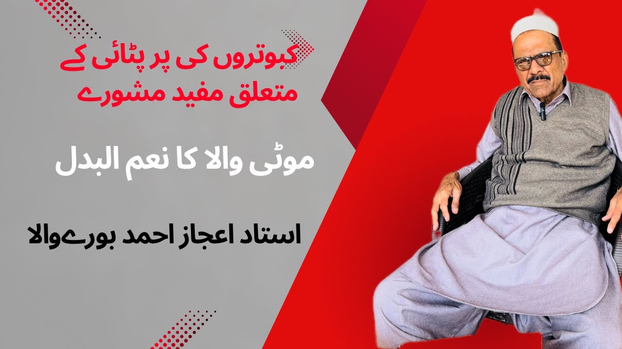 پر پٹائی کے متعلق مفید معلوماتی انٹرویو اور موٹی وال کا متبادل استاد اعجاز احمد بورے والا   