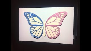 METAMORPHOSIS - installation