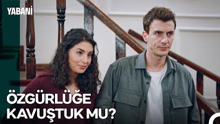 Çete Vlog Mutluluğa Adım Adım - Yabani