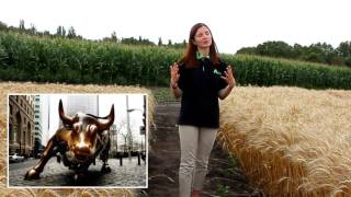ВРОЖАЙ ТОРГУЮТЬ ВСІ! Обучение: БЫКИ и МЕДВЕДИ ВРОЖАЙ ТОРГУЮТЬ ВСІ! Обучение: БЫКИ и МЕДВЕДИ