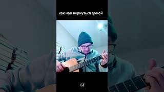 как нам вернуться домой #бг #песня #гитара