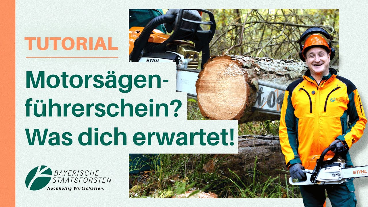 Kettensägen-Führerschein: Das lernst du WIRKLICH! | Praxis-Tipps vom Forst-Profi