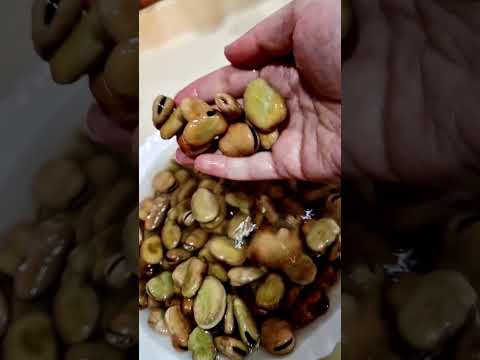 طريقة طبخ الباقلاء اليابسه مال عرباين وصفات لذيذة وصفات سهله فول وصفات إقتصادية