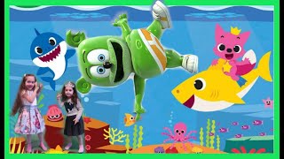 Gummy Shark - Baby Shark Song - Gummy Bear Song - Gummibär - Music Video IN REAL LIFE