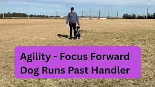 Focus Forward - Dog Runs Past Handler
