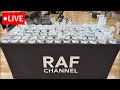 パッキングLIVE【ニシアフリカトカゲモドキ】