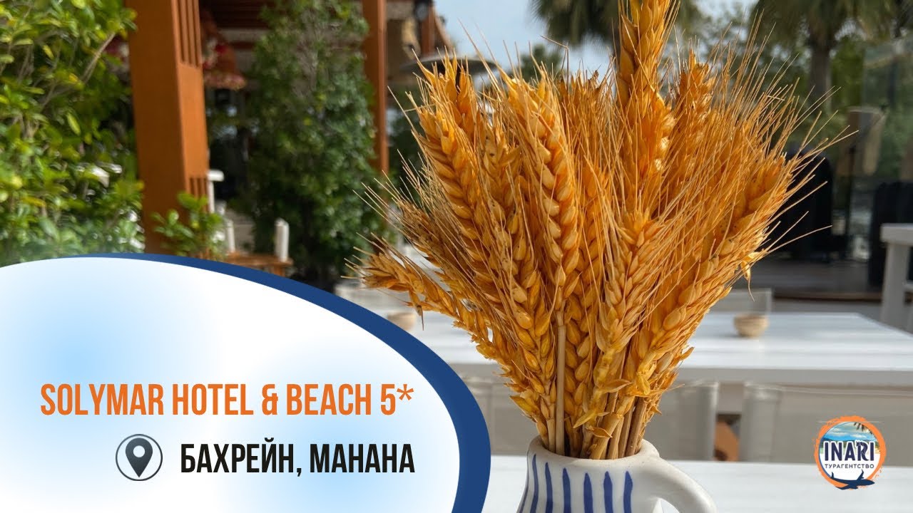 Solymar Hotel & Beach 5* обзор номера