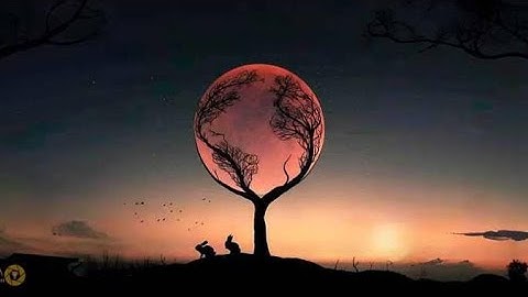 #عشائية_جميلة من سورة غافر ..عبد الرحمن فيصل مطر