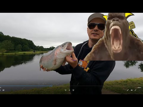 Video: Tips Om Sommerfiskeri