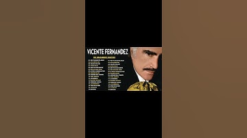 Thumbnail of VICENTE FERNANDEZ GRANDES EXITOS  VICENTE FERNANDEZ SUS MEJORES EXITOS