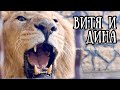 ВИТЯ и ДИНА всегда радуют! Несколько фрагментов встречи! Life of #lions​