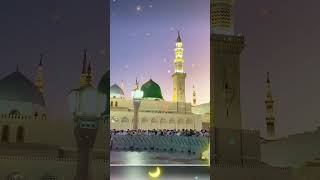 #islamicvideos #islamicdilchaspmaloomat #islamicshorts #virlvideos #shorts #short #newvid #beautiful