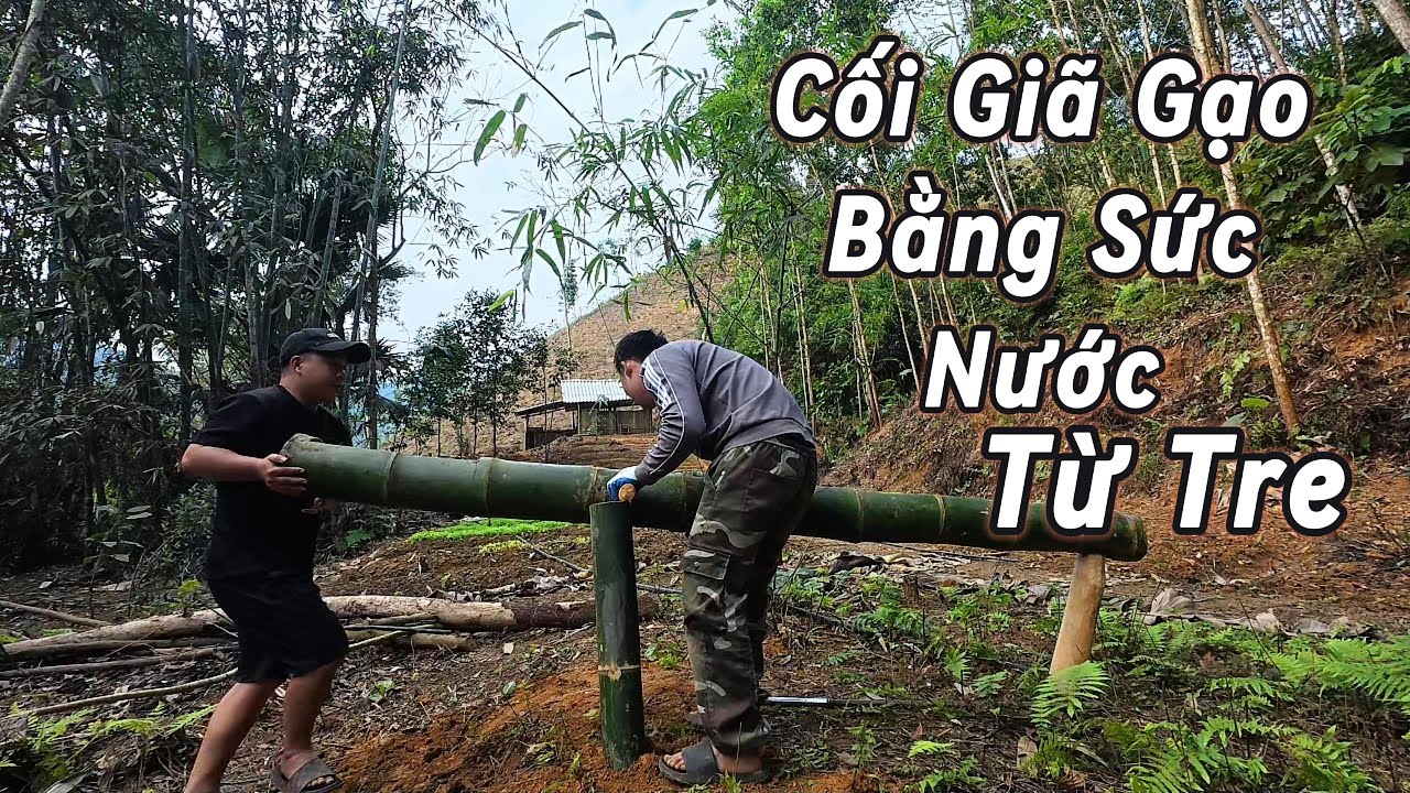 Cách Chế Tạo Cối Giã Gạo Tự Động Từ Tre – Tận Dụng Sức Nước Có Sẵn