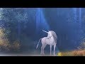 Peaceful Instrumental Music, Relaxing Meditation Music "The Lighted Forest" by Tim Janis