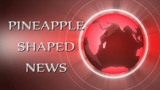 Psnews Season 5 Finale - Top 5 Dumbest Criminals