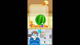 縦配信をテストしながらスイカゲームする配信。