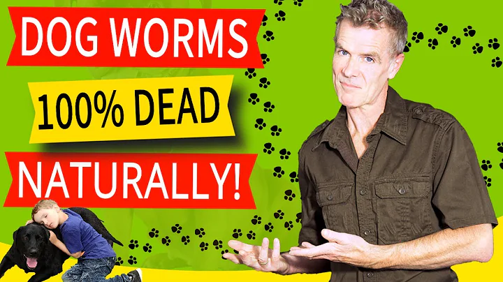 How to Naturally Treat a Dog With Worms (100% Effective Home Remedy!) - DayDayNews