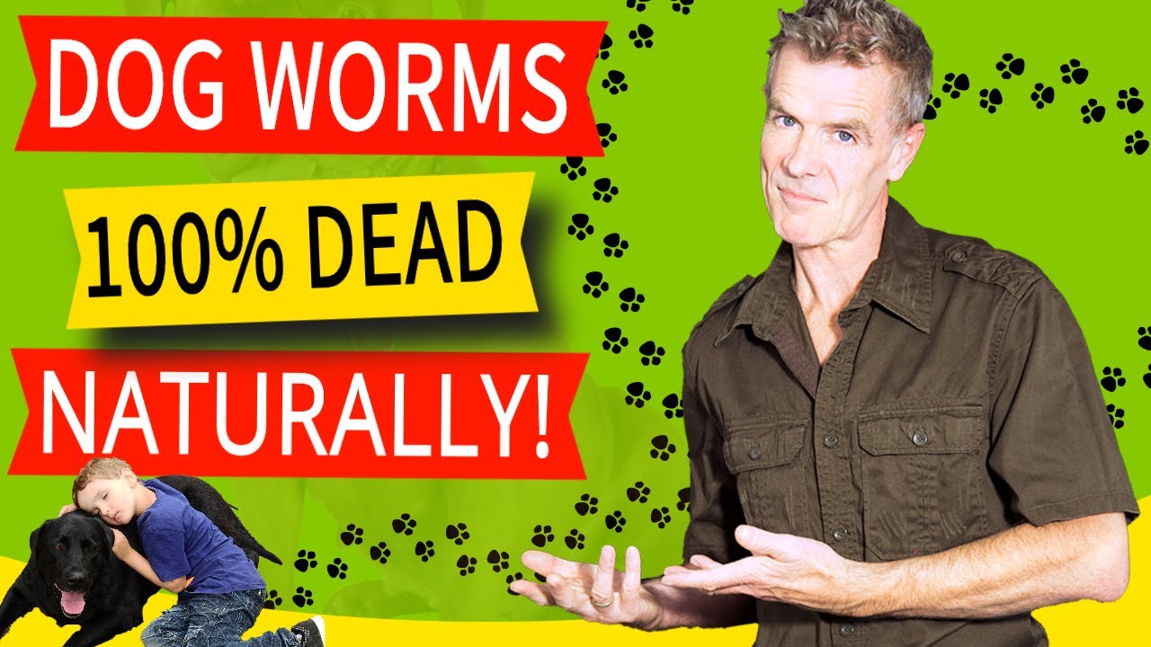 How To Naturally Treat A Dog With Worms (100% Effective Home Remedy!)