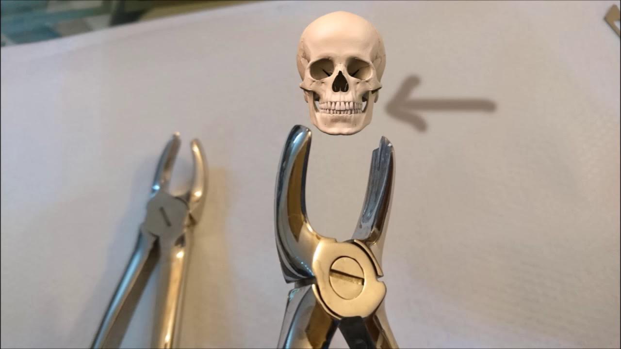 Difference Between Right and Left Forceps for the Upper molars YouTube