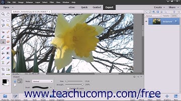Photoshop Elements 15 Tutorial Blurring & Sharpening Images Adobe Training