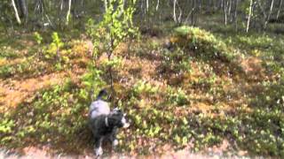 SAM 0527