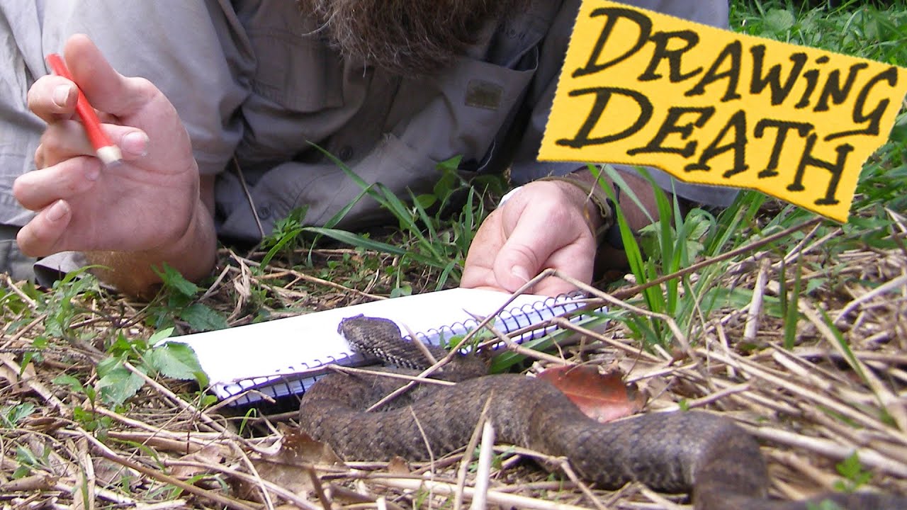 print/maker book Live Death Adder on Artist's Sketch Book