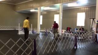 Ndtc Trial 9213