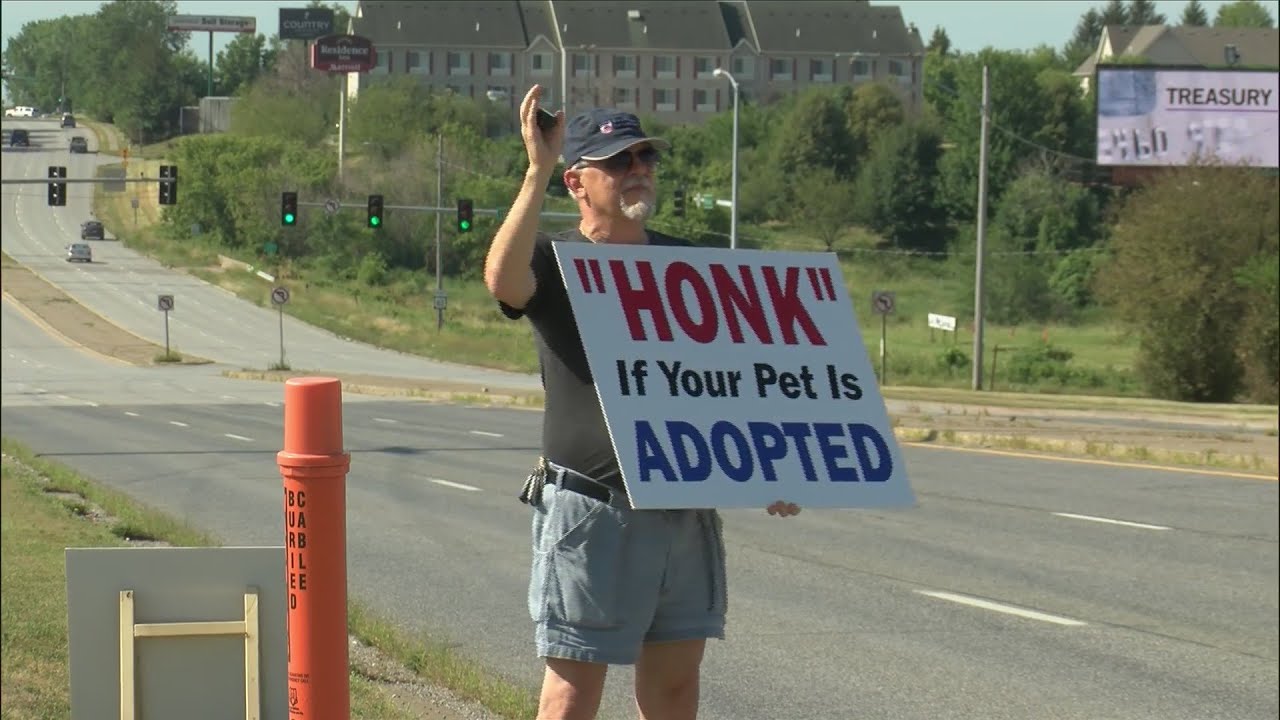 peaceful puppy mill protest