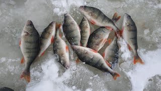 В ПОИСКАХ ГОРБАЧЕЙ.ФЕВРАЛЬ.МОЖАЙСКОЕ ВОДОХРАНИЛИЩЕ!