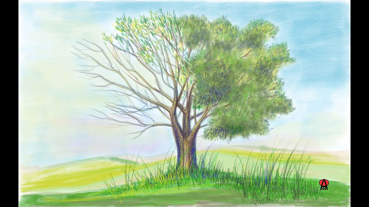 Video con interpretazione grafica realistica di un albero con tecnica a matite colorate