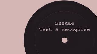 Seekae - Test & Recognise [Flume Re-Work] Extra Slowed Down