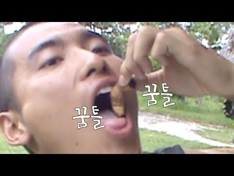 아마존 애벌레 먹방 (야자나무벌레, 사구벌레, 코코넛웜)