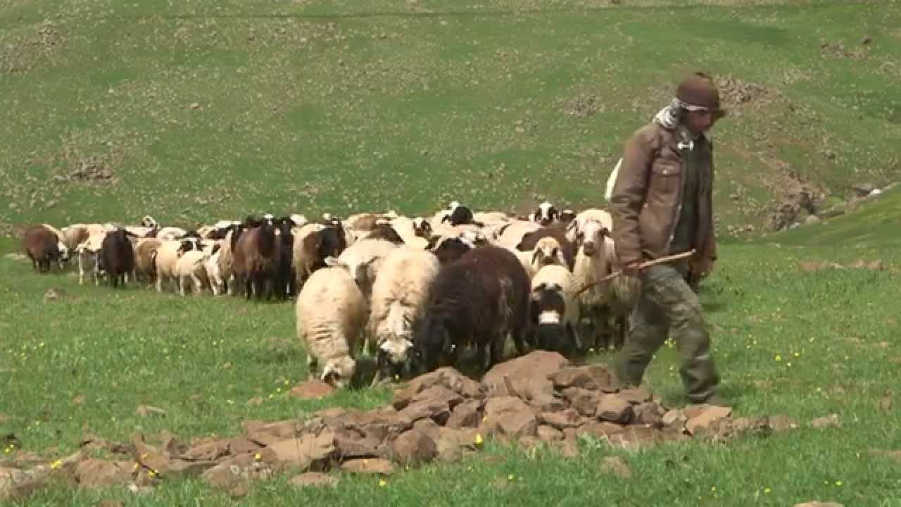 Solhan Tanıtım Filmi 2015