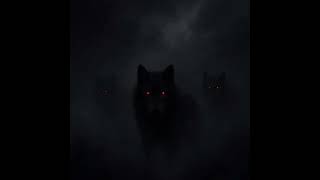 Himathan Wolf - evil wolves (FULL EP) (UNRELEASED 2025)