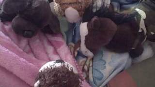 Camp Webkinz Randomness