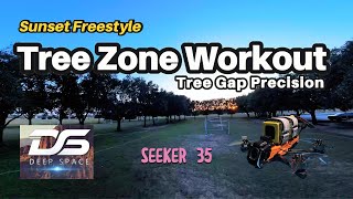 FPV Tree Freestyle: Precision Training at Sunset, DeepSpace SEEKER 35