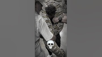You are not afraid of snakes 💀 #shorts #ytshorts #snake