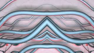 Ambient Video LOOP   Wire Rolls