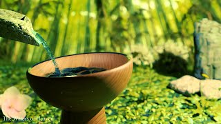 The Sound Of Water For The Treatment Of Depression | Relaxing Music For Healing screenshot 3