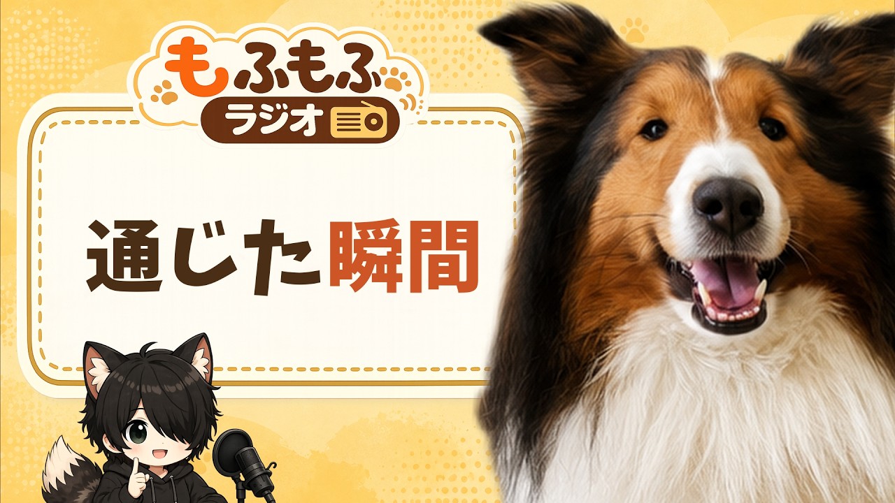 犬★プロフ必読 The Day I First Communicated with My Dog [Fluffy Radio #3] #dog