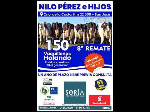2025-09-05  8º Remate Nilo Perez e hijos